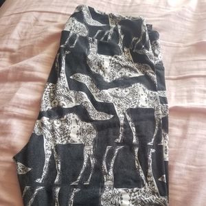 Lularoe TC leggings